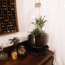 Recyclage d'un KeyKeg en mini serre