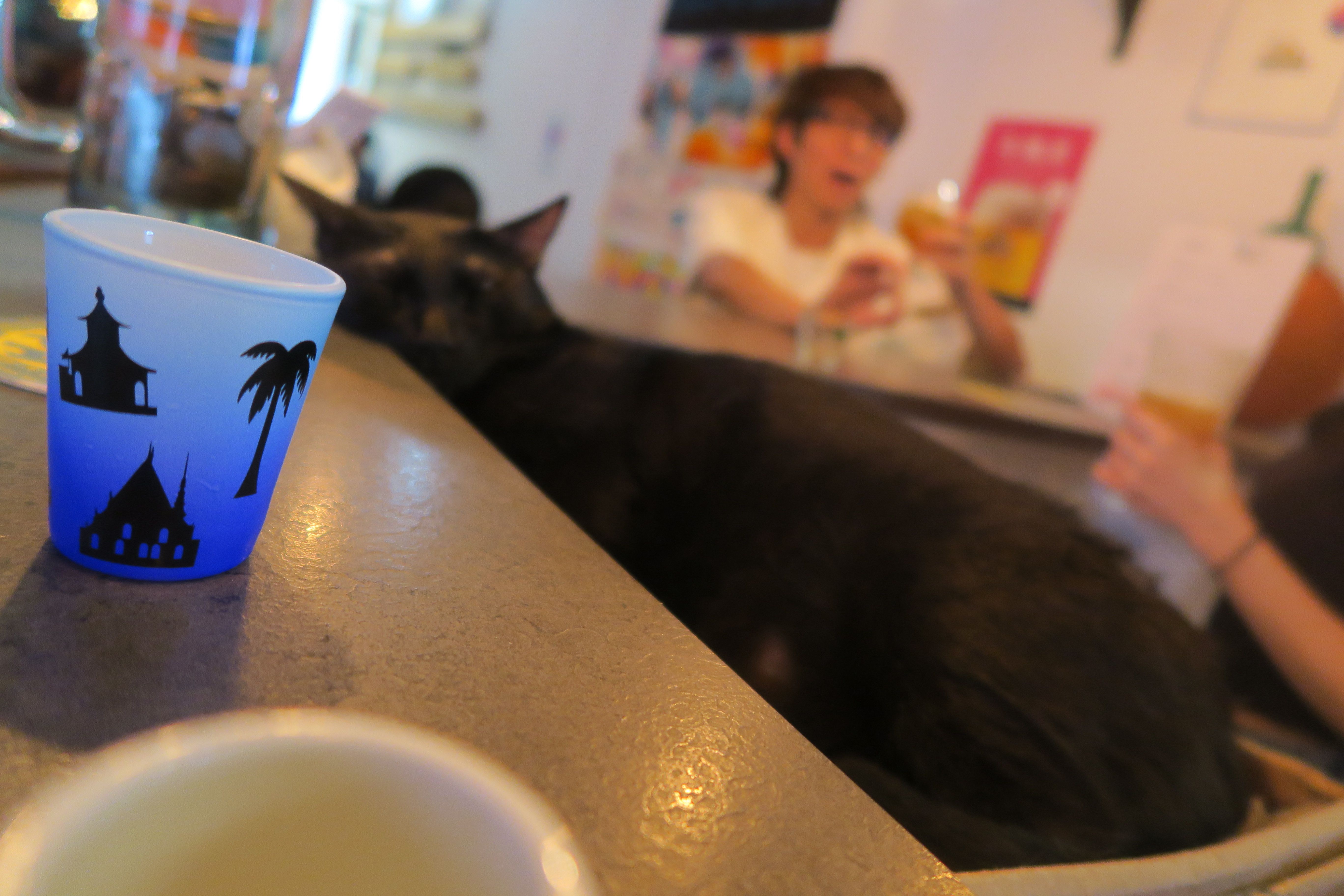 Bire  Tawan - BeerCat (Taipei)
